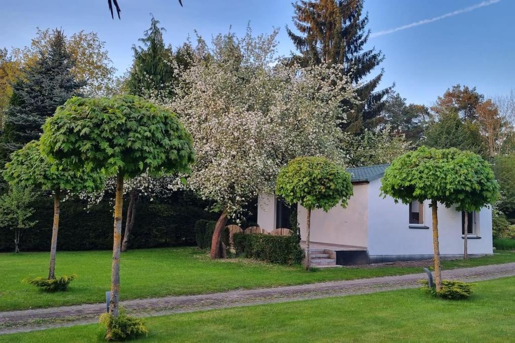 Pod Jablonia Villa Bydgoszcz Exterior photo